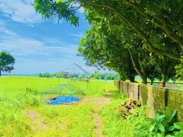 মৃত্যু আমার হবেই হবে🥺🌸@Rs Raju #tiktok #foryou #viralvideo #viraltiktok #1M 