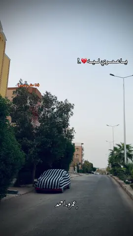 يا عمري ليه 💔 . . #ريشا_كوستا #foryou #foryoupage #fyp #fyppppppppppppppppppppppp 