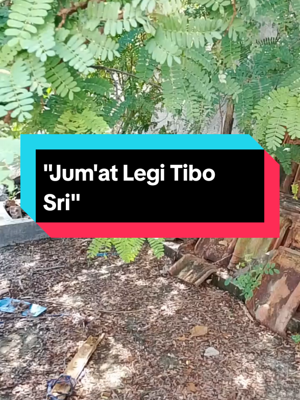 Membalas @user4276347311792 Jum'at Legi Tibo Sri #weton #jawa #jawapride #indonesia #fyppppppppppppppppppppppp 