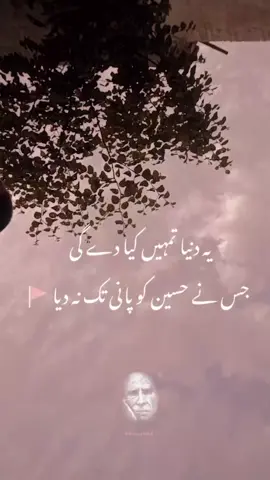#poteryvids #share #potery #urdupoetry #urduline 