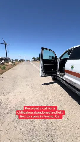 Sadly this is such a common occurrence here in Fresno County.  I found this little guy right near our shelter, in 100 degree weather, just waiting on the side of the road with his bowls and bed. I got him back to our shelter and we networked this video and he found rescue almost immediately! He’s off to the start of his new life now🥲❤️ #abandoned #fypシ #animallovers #dogsoftiktok #chihuahua 