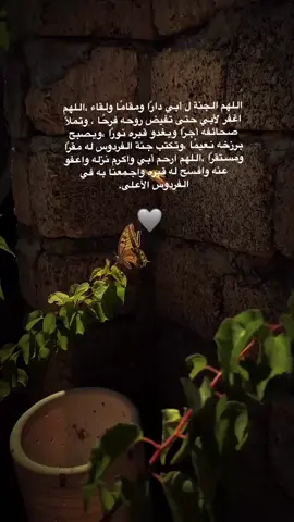 ‏اللهم اغفر لأبي وارحمه وأرضيه وأرضى عنه اللهم اسكنه عالي جنانك وأحيي ذكره إلى يوم يبعثون . #اللهم_ارحم_ابي #يوم_الجمعه #اللهم_صلي_على_نبينا_محمد #اذكرو_الموتى_برحمه_ودعاء #ماهرالمعيقلي 