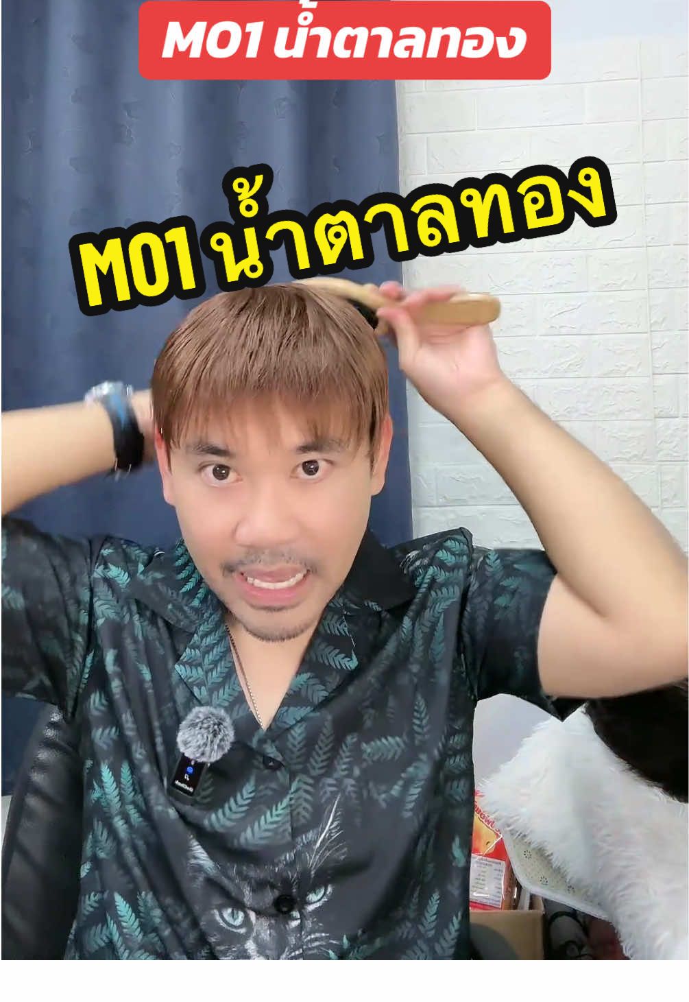 M01 วิกผมแท้ติดกิ๊บ สีน้ำตาลทอง ฐาน 16x18 cm สระ ไดร์ หนีบ ฉีดสเปรย์ ใส่เจล ใส่แว็ก จัดทรงได้ #วิกผมแท้ #วิกผมผู้ชาย #วิกผม #tiktoklive #livehighlights 