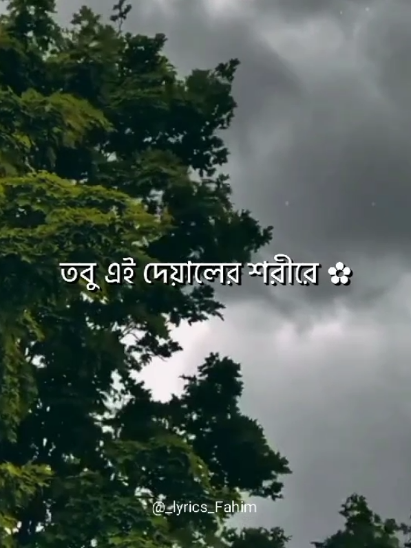 - তবু এই দেয়ালের শরীরে 