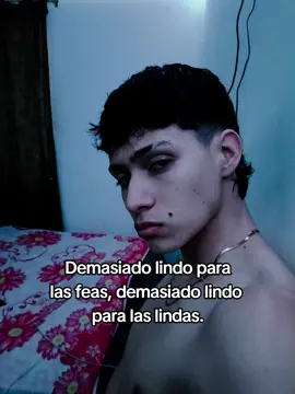 #reality #high #texto #textoblanco #fyp 