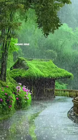 sxbyaal 10k igu tuura 🙏 wax yar nooga Dhiman gacanta saara account ka #xikmado_dhiirigalin_ah #xikmado_dhiirigalin_ah #xikmad #foryoupage #foryou  @mohatt-410 @❤️@king_hanad❤️ @Dr Abdulkadir Wehlie🩺 @Somalia 🇸🇴 @Happy islamic🕋🤎🇩🇪 