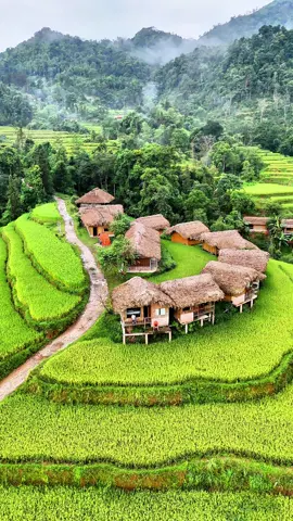 Phố thị ồn ào quá, chuẩn bị sách ba lô và đi thôi..! #cuộcsốngđammê❤️❤️❤️ 