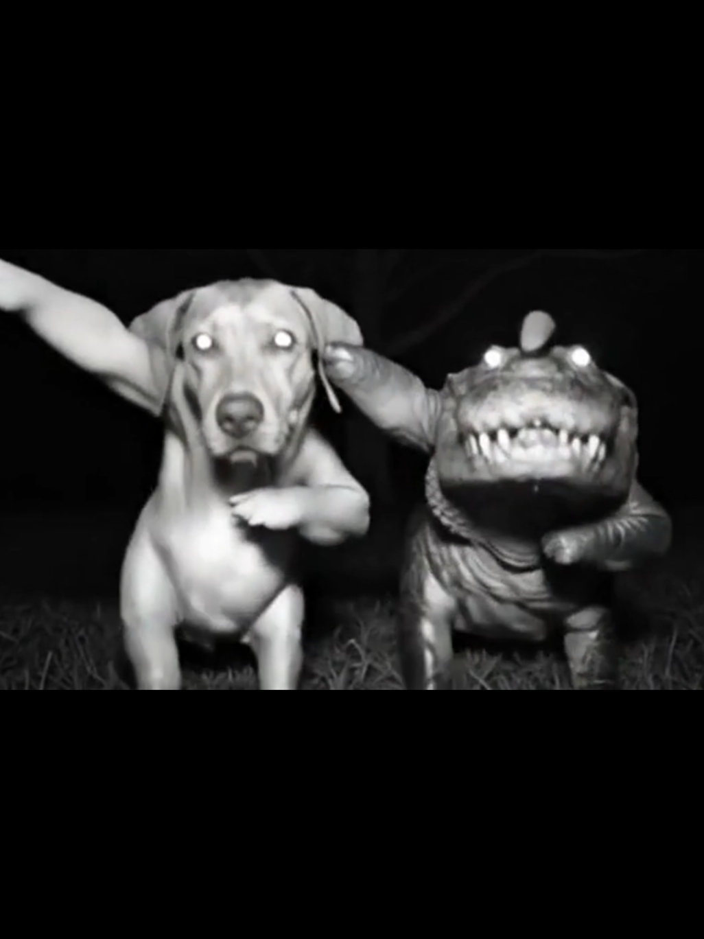 #dog #crocodile #animals #meme #ai 