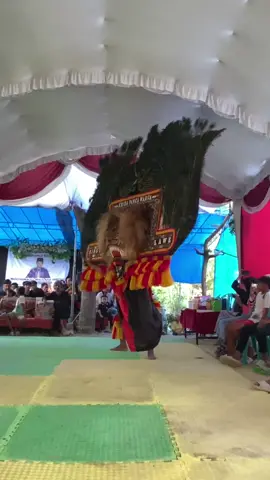 ora ono wong mulyo tanpo ngupoyo #reogponorogo #fyp  #pembarongnusantara #pembarong #ponorogo24jam 
