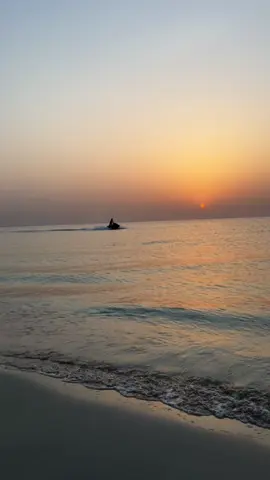 #الشرقية #fyp 