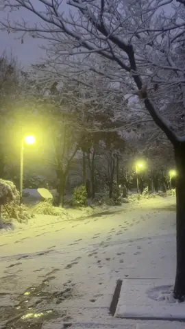 난 너밖에 없어 언제나 사랑할게