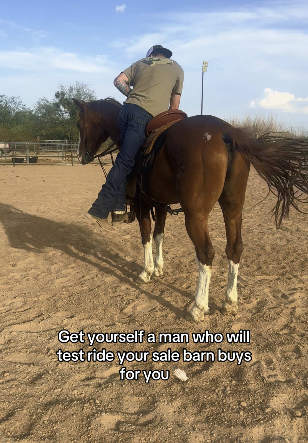 Thankful to have a man who’s willing to do anything to keep me safe and happy 🥰 and Elmo did great for his first ride here! #horsesales #1111equine #forsale #relationshipgoals #salebarn #rescuehorse 