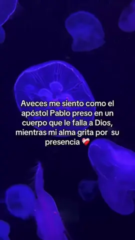 🥺🥺