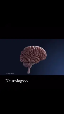 Neurology >> #neurology #fyp #medicine #viralvideo #fyppppppppppppppppppppppp 