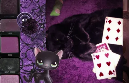 🐈‍⬛🌙🪻#blackcat #moodboard #whimsigoth #fleetwoodmac #pinterest 