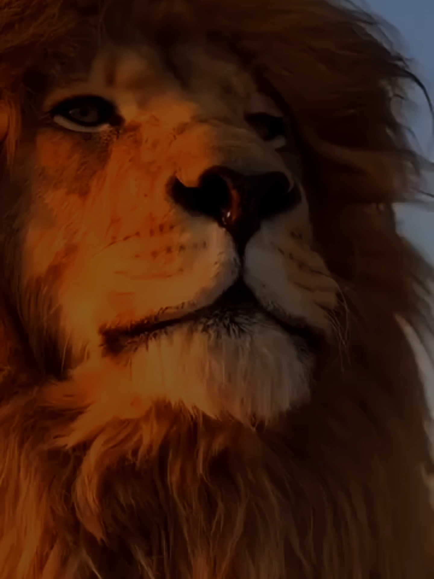 Trop, c’est trop – Protège ton cœur et ton énergie Tu peux être fort, gentil, patient… mais si c’est trop, ça te brisera. Pose tes limites. Protège ton énergie. Respecte-toi. #motivation #roilion #simba #mufasa #developpementpersonnel #respectdesoi #forceinterieure #protection