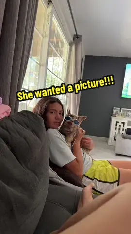 This is so adorable! #viral #fyp #foryou #frenchie #puppy 