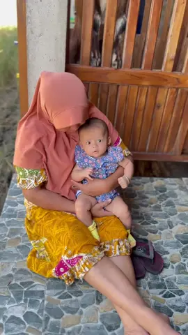 bosil e ape ngejak Ng sawah