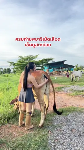 เช็คสะหน่อย #ตลก #สัตว์เลี้ยง #อรัญญาฟาร์ม #ฟีดดดシ 