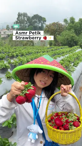 #petikstrawberry #wisatabandung 