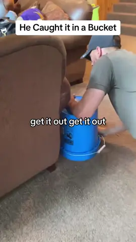 #tiktok #viral 