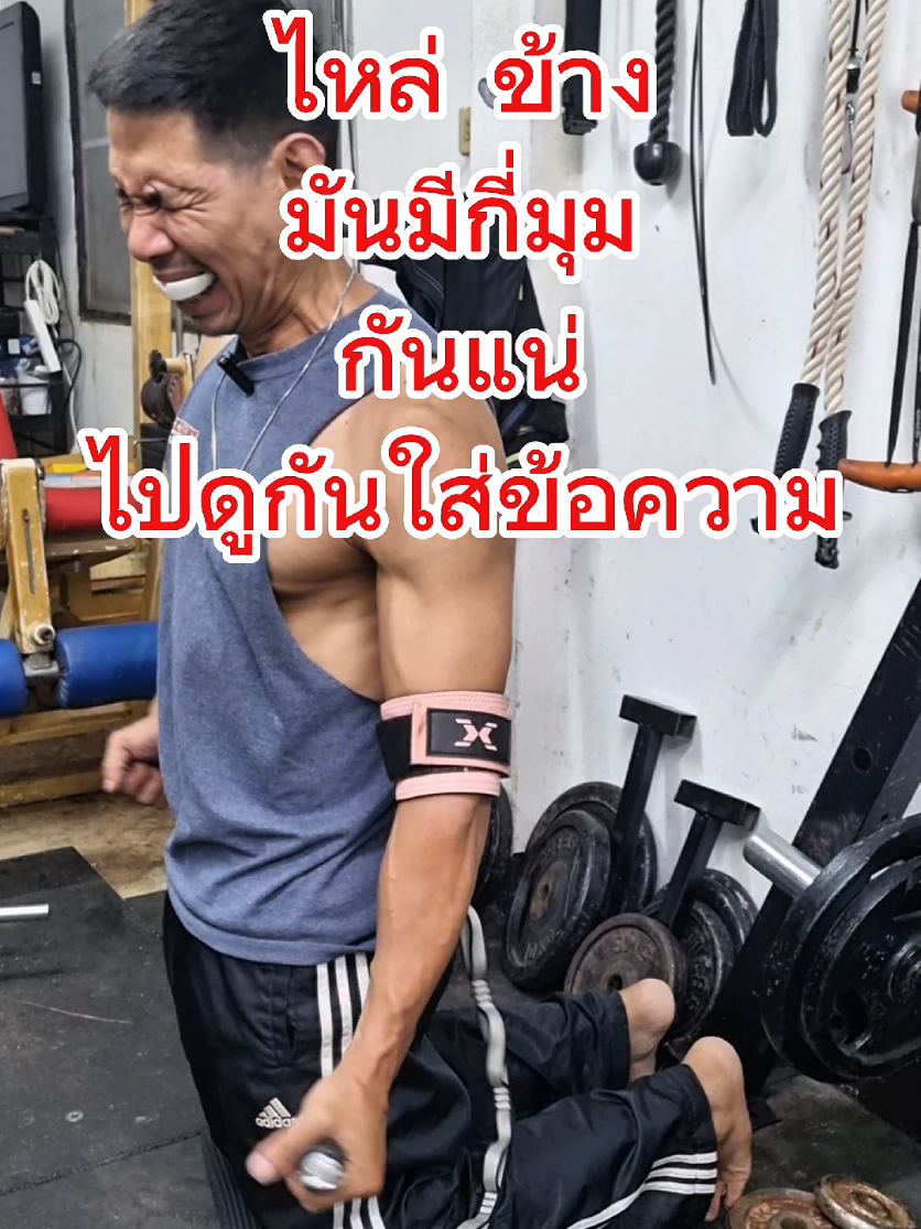 ไหล่ข้าง ที่ครบ ทุกไฟล์เบอร์ มีท่าไหนบ้าง.ไปดู..มันไม่หมูจัดให้..#มันไม่หมู #tiktokuni #dumbbelllateralraise #cablelateralraises #dumbbellshoulderpress 
