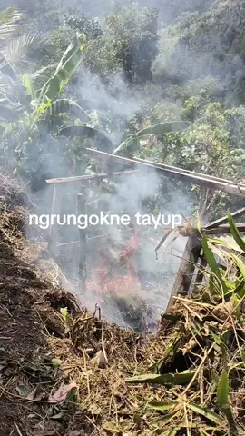 ngrungokne tayup#indonesia🇮🇩 #fyp #fyppppppppppppppppppppppp 