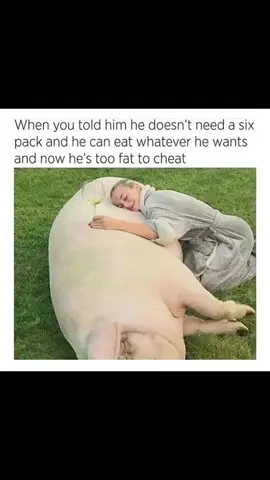 🐷🐽🐖