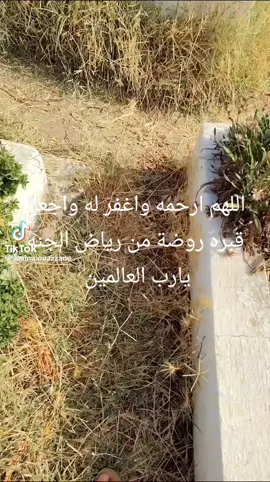 #duaa #parati #quran_alkarim #pegar #fyp #islamic_video #peace #quran #deen #islam 