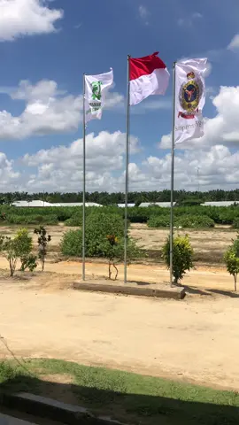 Bendera merah putih sudah kami kibarkan 🫡🫡🫡