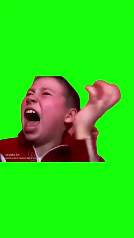 Kid CRASHOUT meme green screen #memes #memesdaily #greenscreen #fyp #meme