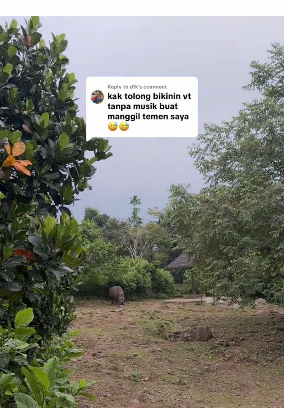 Replying to @dfk semoga berguna kak sound nya 🤣🦏