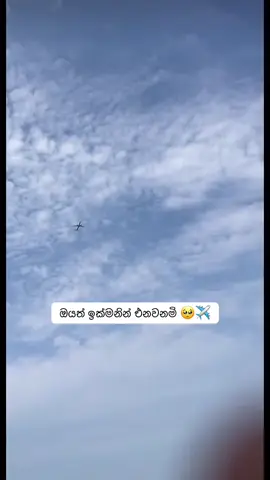 මෙ ගෙවිලා යන්නෙ දරාගැනිම දරාගන්න බැරි කලයයි🥺✈️#1millionviews #everyone #srilankan_tik_tok🇱🇰 #hilight #korea🇰🇷 