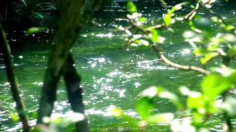 Mọi người đều nói tôi chậm, nhưng thực ra tôi có thể rất nhanh. Ví dụ, nếu một con chó đang đuổi theo tôi, hoặc nếu cậu đang đợi tôi ở phía trước. | Gx94 #xuhuong #viral #thinhhanh #kiniem #vibes 
