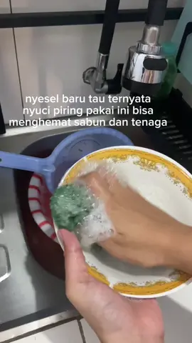 dari spons sekarang beralih ke sabut jala ini🤏🏻 #sabutjala #jaringpencucipiring #sabutcucipiring 