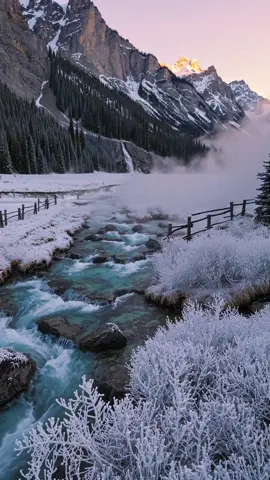 🐺 WOLF TRACKS discovered at this hidden frozen paradise! 😱 5 levels of cascading crystal water through white aspens 🌳 The morning mist creates real-life magic here! ✨ Tag your adventure buddy! Who's brave enough? 💪 #wolf  #aspentrees  #WyomingWild  #frozenparadise  #adventuretime 