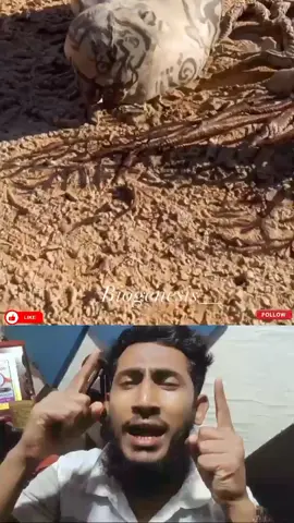 এটা কি আসলেই জিন #Love #জিন #reels #viral #Amazing 
