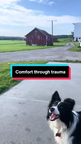 #comfort #trauma #fyp #myboy #bestfriend 