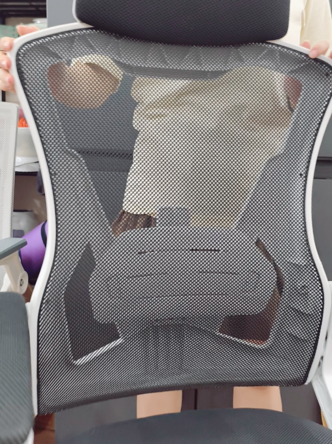 James Chair ghế gaming ghế công thái học văn phòng lưng kép điều chỉnh cùng nhiều tính năng cao cấp #ghegaming #ghevanphong #ghecongthaihoc #noithat #tientinhte98 