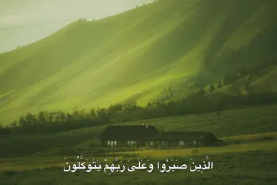 #محمود_خليل_الحصرى #quran #quran_alkarim 