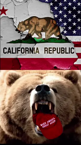 #gavinnewsom #dontpokethebear #ca #democracy #💙