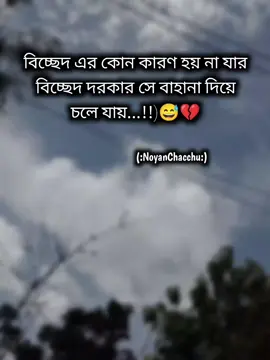#noyanchacchu 