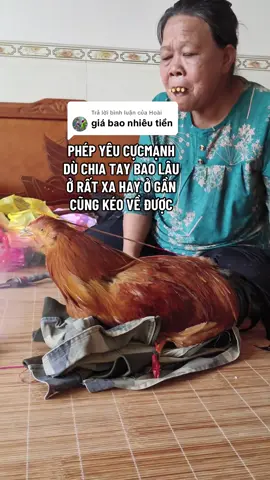 Trả lời @Hoài Bùa yêu#buayeuthailan #buangai #buangaivietnam #viralvideo 