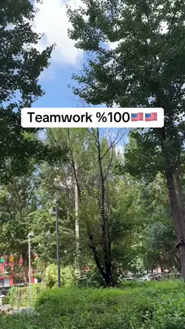 Teamwork 1 min ago #teamwork #teamworkmakesthedreamwork 