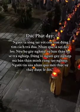 “Người ta sống sai với con, con đừng tìm cách trả đũa. Nhân quả là sợi dây leo. Nếu họ gây nghiệp, tự bản thân họ sẽ trả nghiệp. Đừng vì người gây nghiệp mà bản thân mình cũng tạo nghiệp. Người tin sâu nhân quả mới thực sự thấy được lẽ đời.” #fyppppppppppppppppppppppp #phatphap #xh #nammoadidaphat ##buddha #nammoadidaphat 