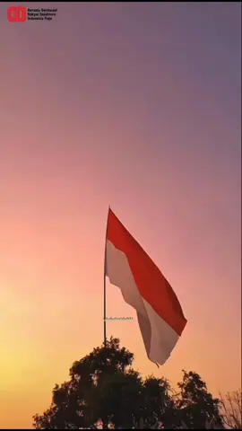 mari kita rayakan Hari Ulang Tahun ke-80 Republik Indonesia dengan semangat nasionalisme yang berkobar! Bendera Merah Putih akan terus berkibar, menjadi simbol persatuan dan kebanggaan kita sebagai bangsa Indonesia. Mari kita jaga dan lestarikan nilai-nilai luhur bangsa ini untuk kemajuan Indonesia. Hari Ulang Tahun ke-80 Republik Indonesia: Tahun ini, Indonesia merayakan 80 tahun kemerdekaan. Ini adalah momen penting untuk mengenang perjuangan para pahlawan dan merenungkan cita-cita bangsa. Nasionalisme adalah semangat cinta tanah air dan bangsa. Dalam konteks HUT RI, semangat ini tercermin dalam rasa bangga menjadi warga negara Indonesia, menjaga persatuan, dan berjuang untuk kemajuan bersama. #harikemerdekaanindonesia #hutri80 #17agustus2025 #17agustus1945 #dirgahayuindonesia 