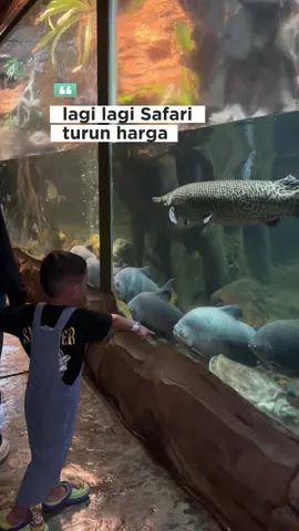 isi liburan kemerdekaan ke Taman Safari mumpung paket premium turun harga  #promomakanmerdeka #tamansafari #diskon #tiktokgo 