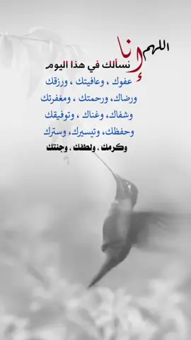 اللهم انا نسألك في هذا اليوم #اعادة_النشر🔃 #اكسبلورexplore #إيفان_الجيزانيه #اللهم_انا_نسالك_رضاك_والجنة🤲🏻 