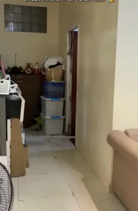 Spider mn😂😂🕸️