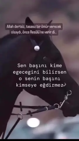 Allahim ümmeti Muhammedi çocuklarımızı hepimizi kalplerimizi seninle doldur bizleri sana layık kul habibine layık ümmet eyle hepimizi Allahim 😭😭😭😭